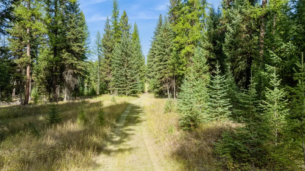 3217 Loon Lake Road Trego MT 59934