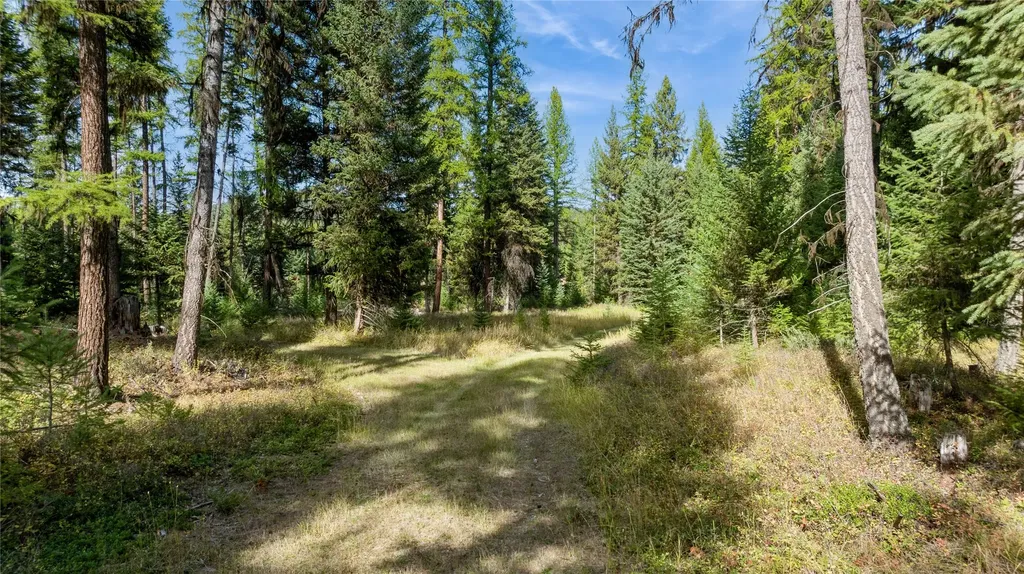 3217 Loon Lake Road Trego MT 59934