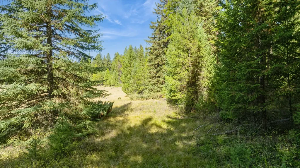 3217 Loon Lake Road Trego MT 59934