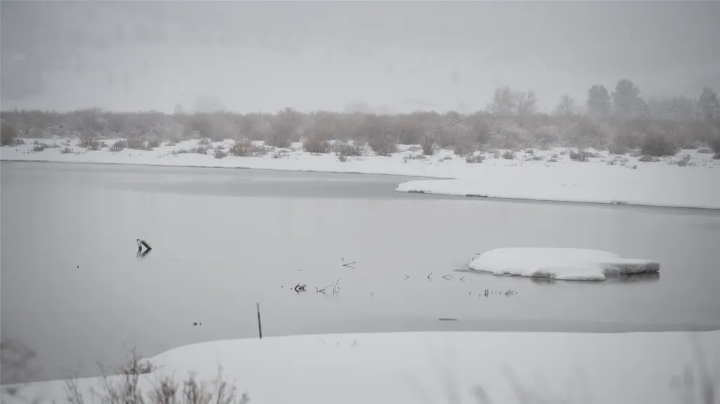 5 Fox Trail Way Anaconda MT 59711