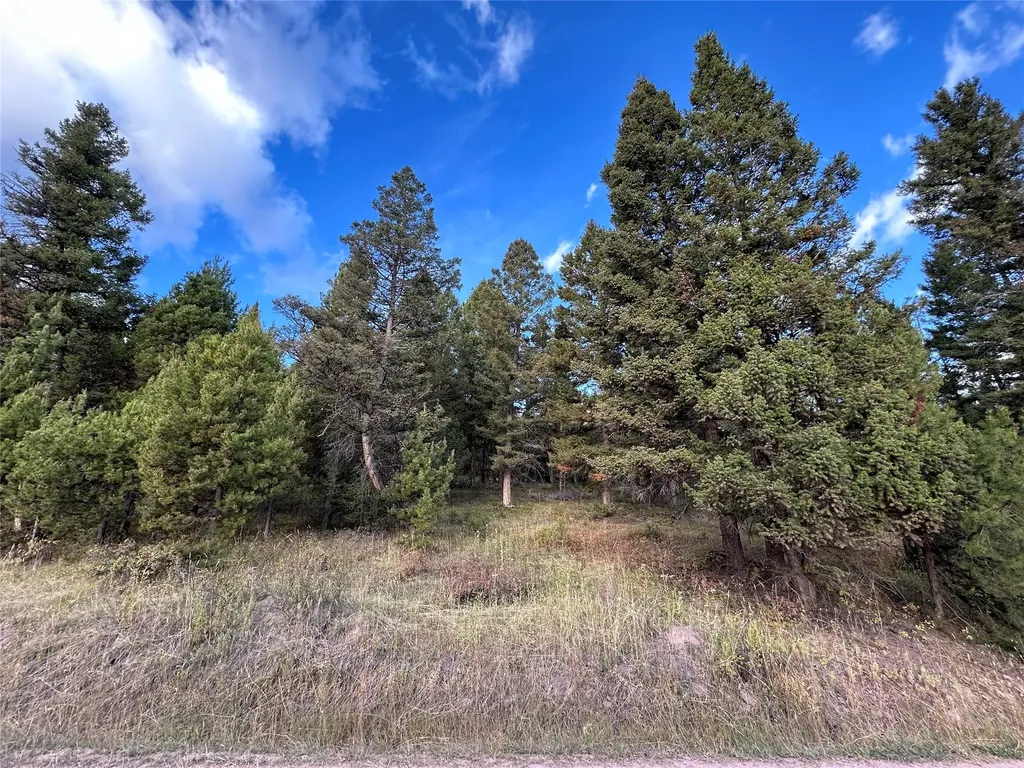 Lot 10 Black Pine Meadows Subdivision Philipsburg MT 59858