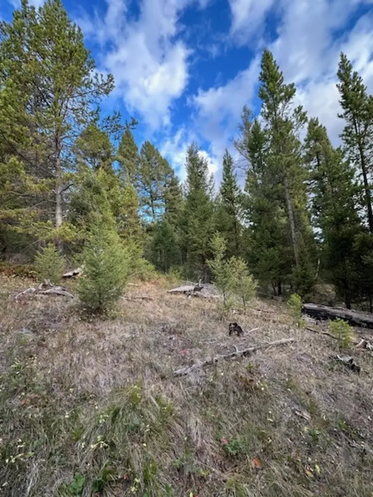 Lot 10 Black Pine Meadows Subdivision Philipsburg MT 59858