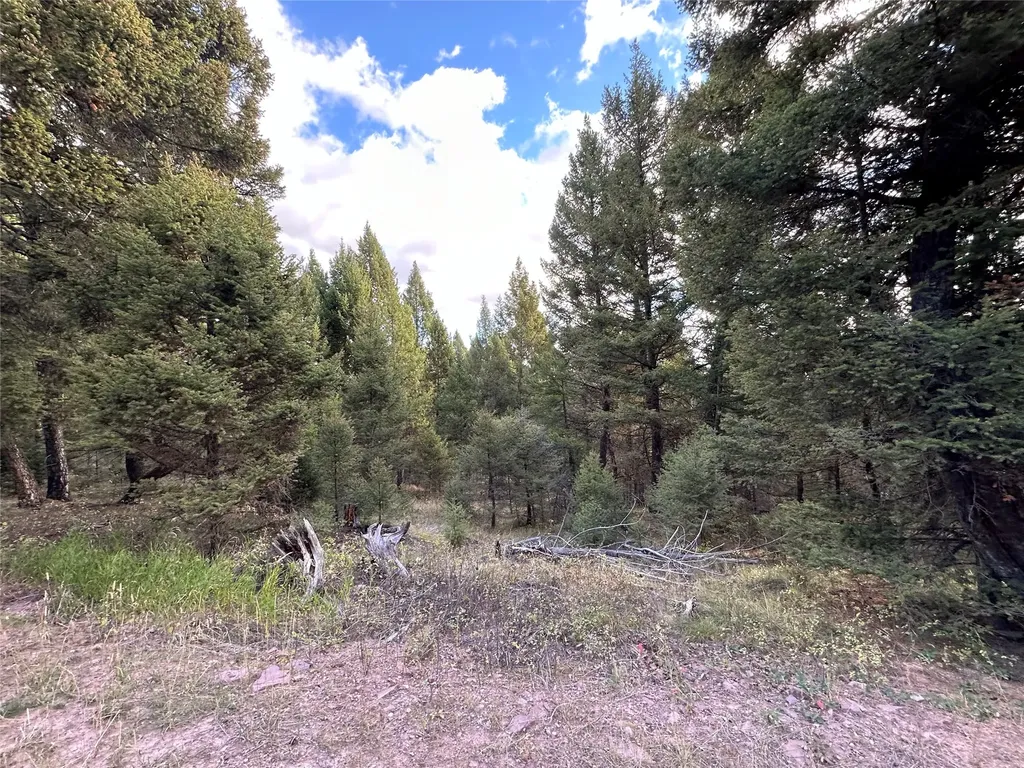 Lot 10 Black Pine Meadows Subdivision Philipsburg MT 59858