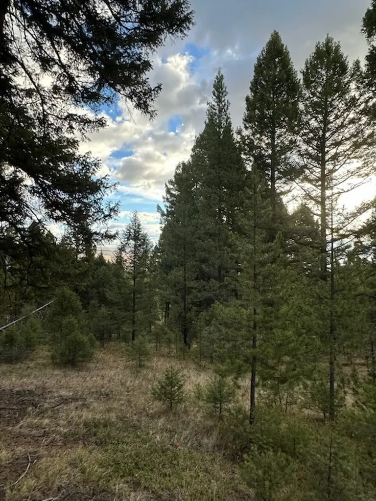 Lot 10 Black Pine Meadows Subdivision Philipsburg MT 59858