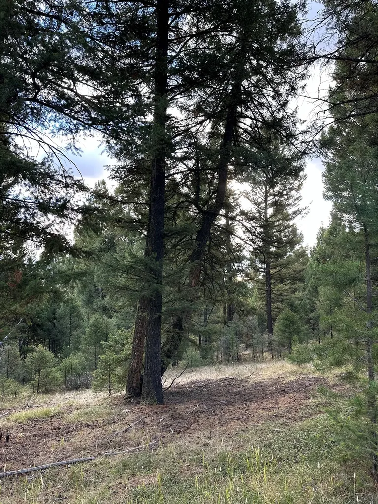 Lot 10 Black Pine Meadows Subdivision Philipsburg MT 59858