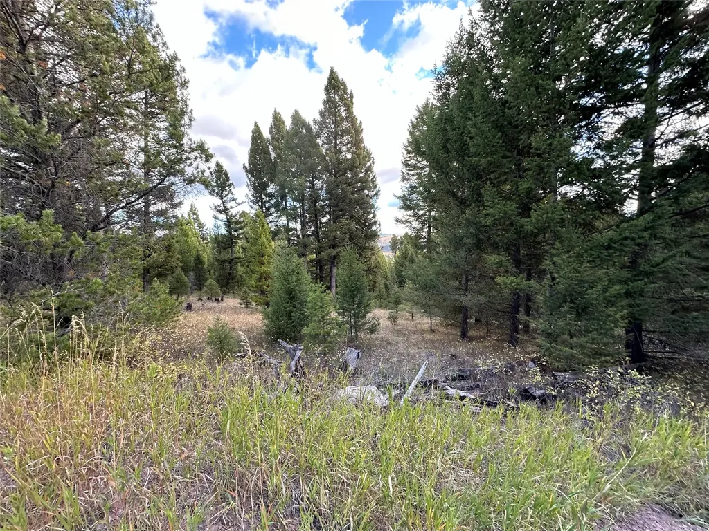 Lot 10 Black Pine Meadows Subdivision Philipsburg MT 59858