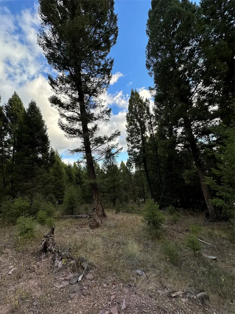 Lot 10 Black Pine Meadows Subdivision Philipsburg MT 59858