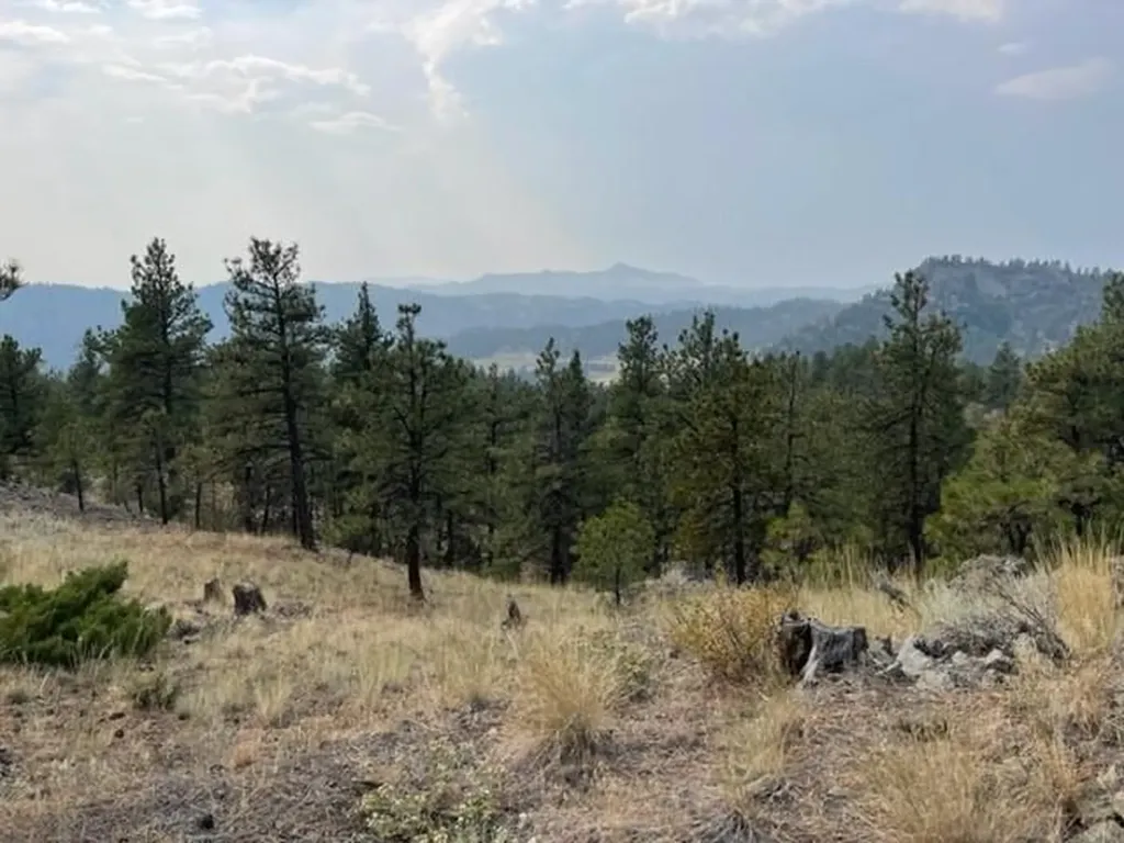 Tbd Mountain Home Lane Cascade MT 59421