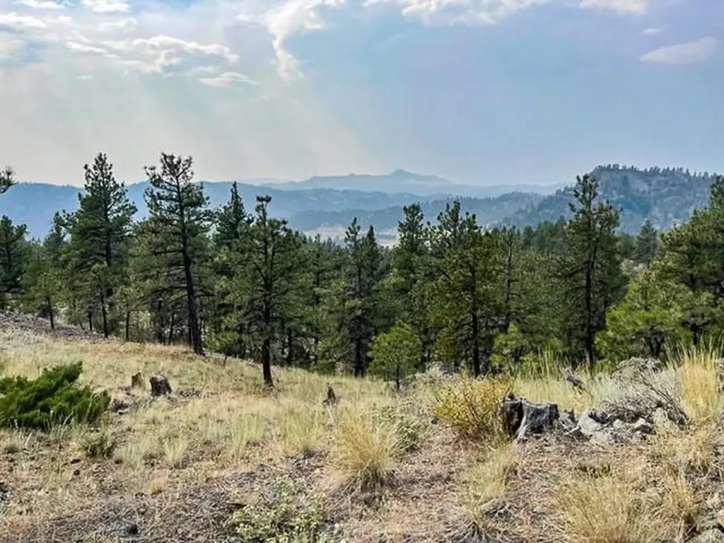 Tbd Mountain Home Lane Cascade MT 59421