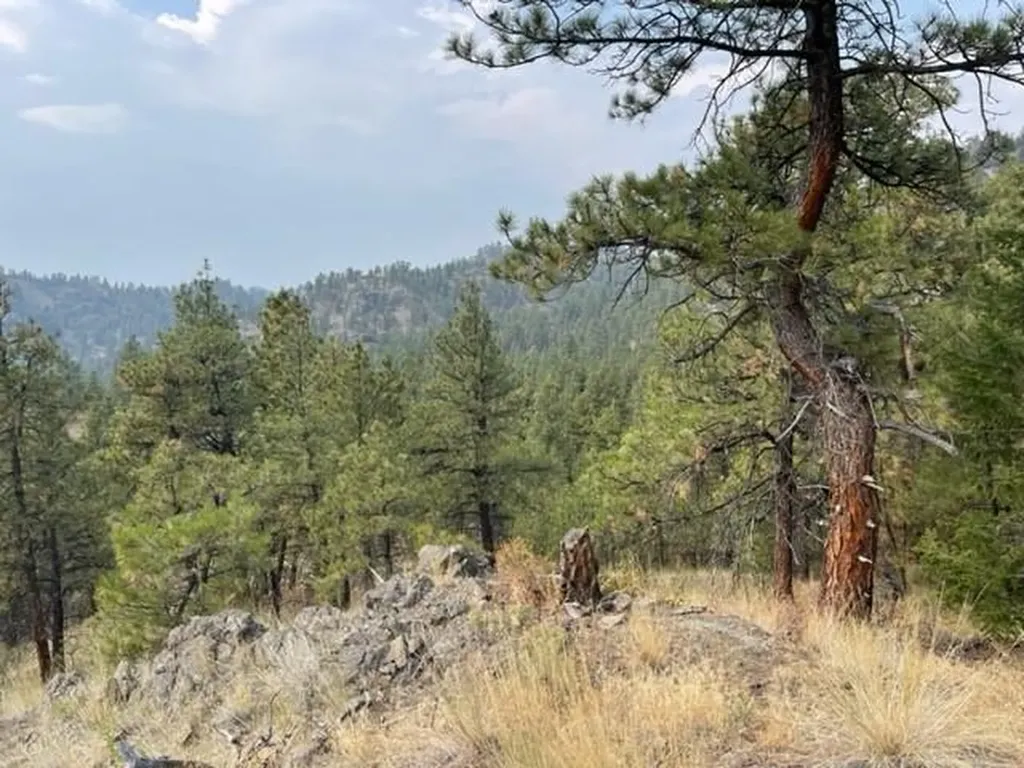 Tbd Mountain Home Lane Cascade MT 59421