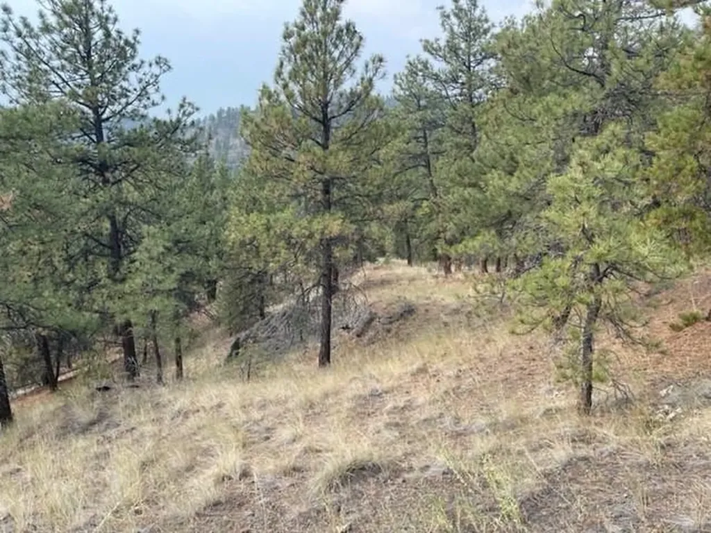Tbd Mountain Home Lane Cascade MT 59421