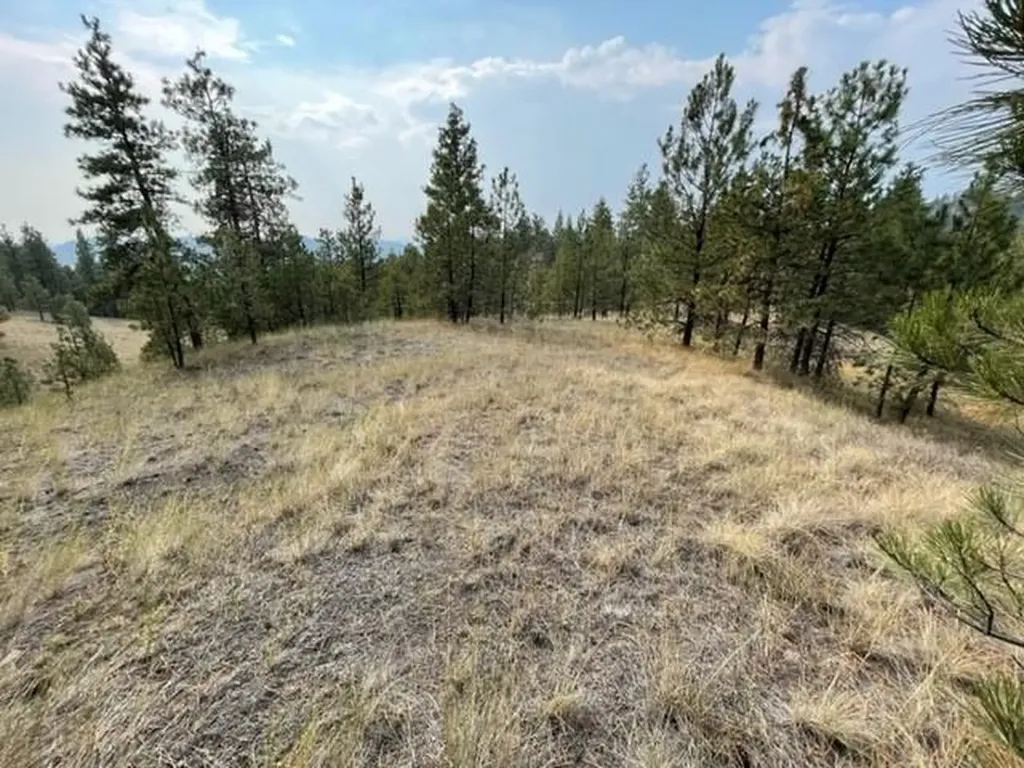 Tbd Mountain Home Lane Cascade MT 59421