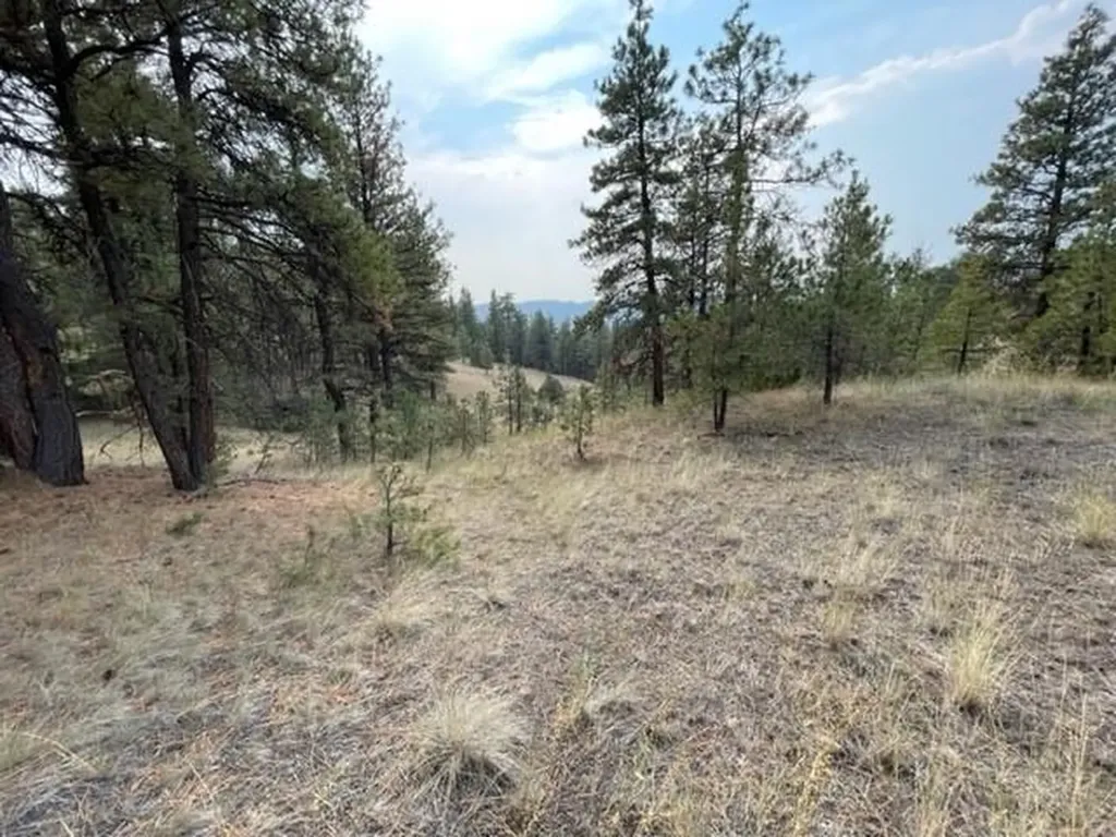 Tbd Mountain Home Lane Cascade MT 59421