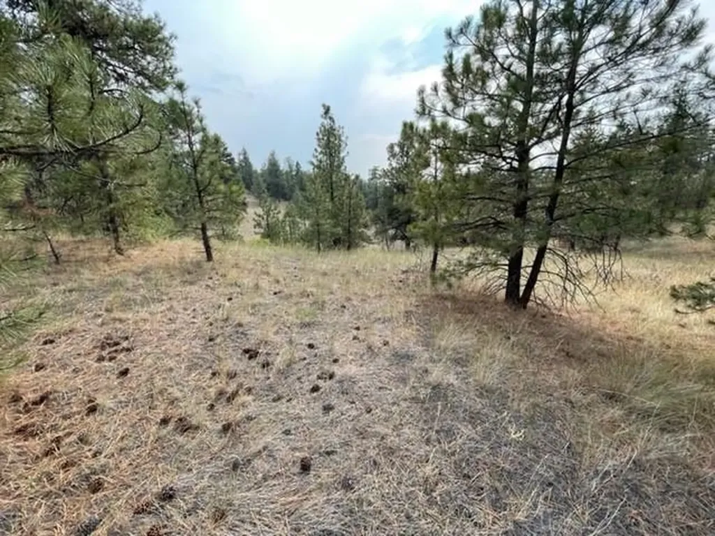 Tbd Mountain Home Lane Cascade MT 59421