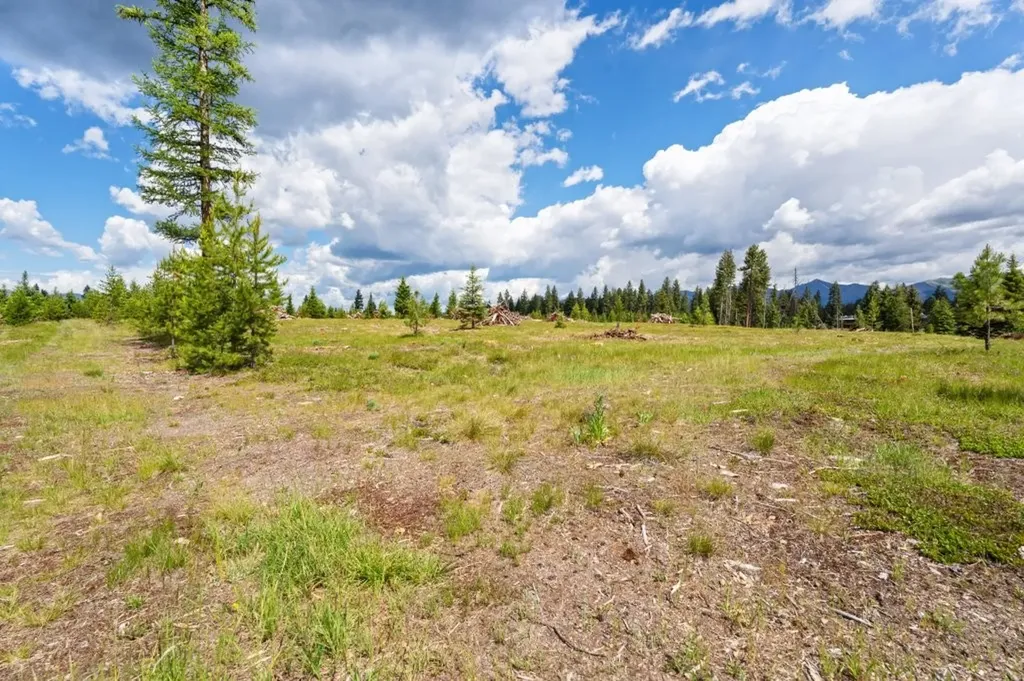 281 Daisy Lane Seeley Lake MT 59868