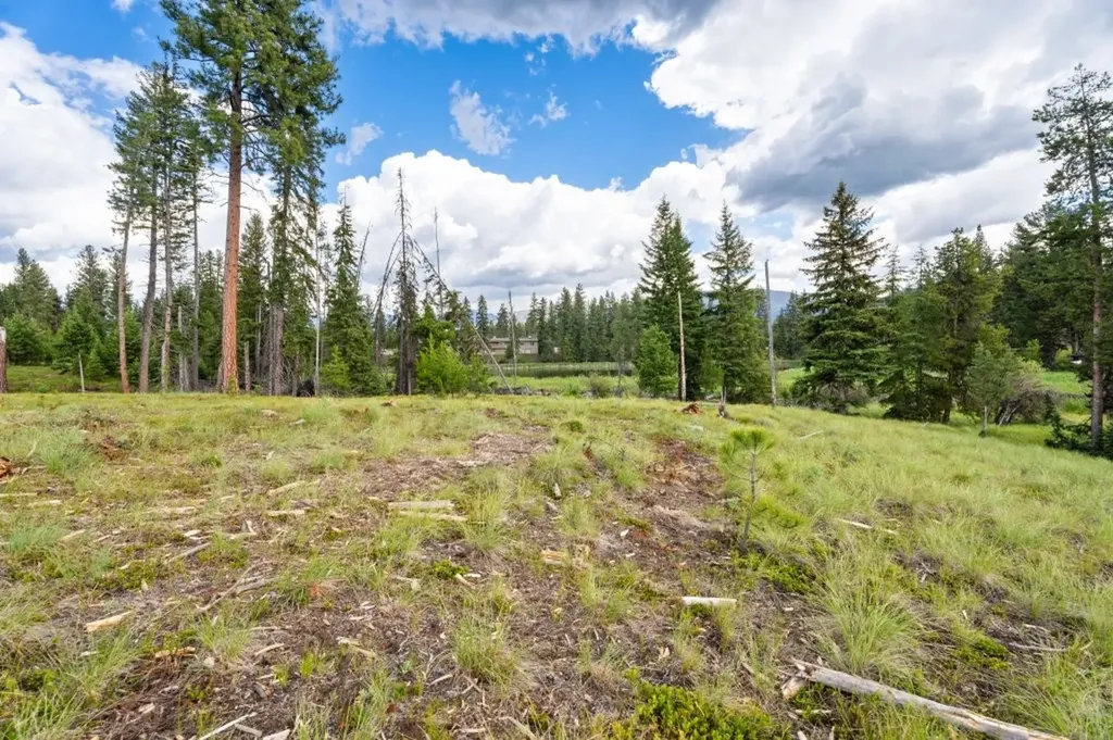 281 Daisy Lane Seeley Lake MT 59868