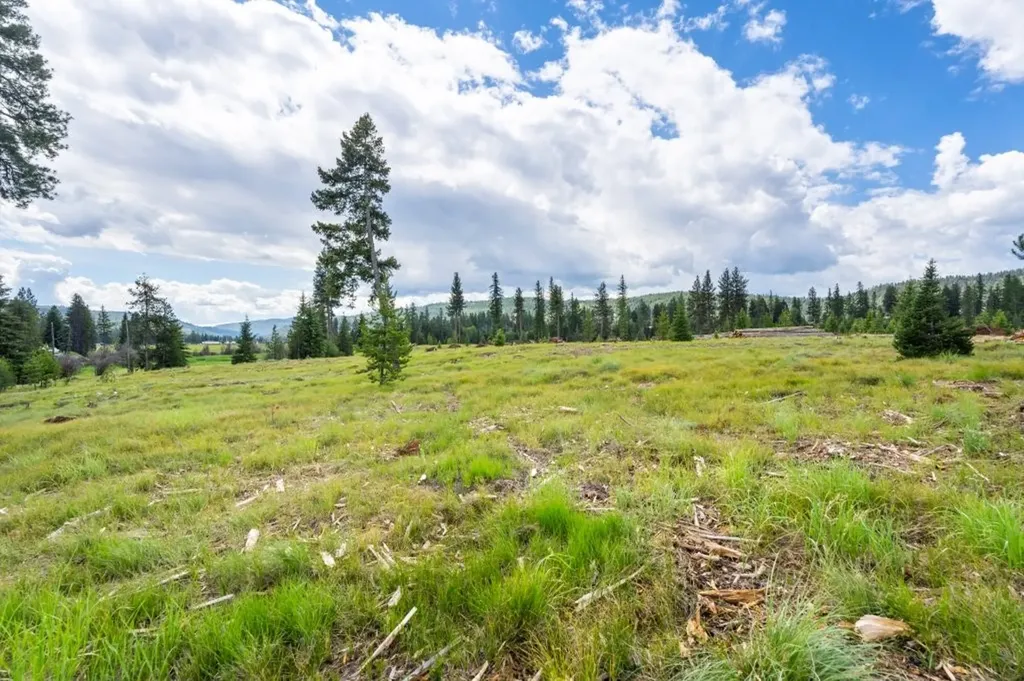 281 Daisy Lane Seeley Lake MT 59868