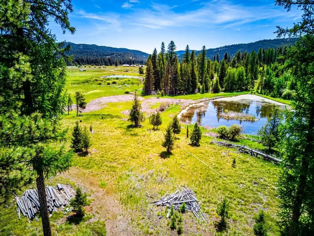 281 Daisy Lane Seeley Lake MT 59868