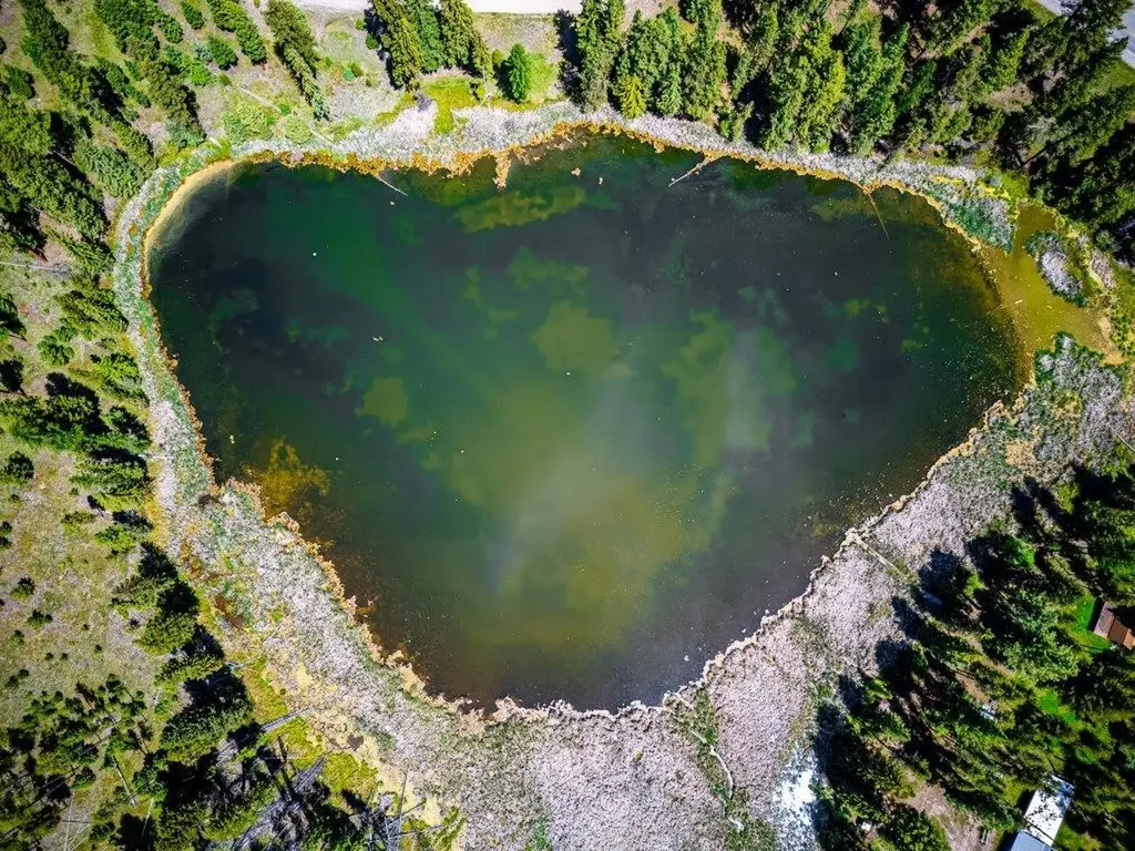 281 Daisy Lane Seeley Lake MT 59868