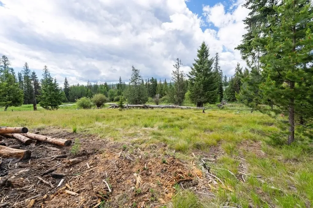281 Daisy Lane Seeley Lake MT 59868