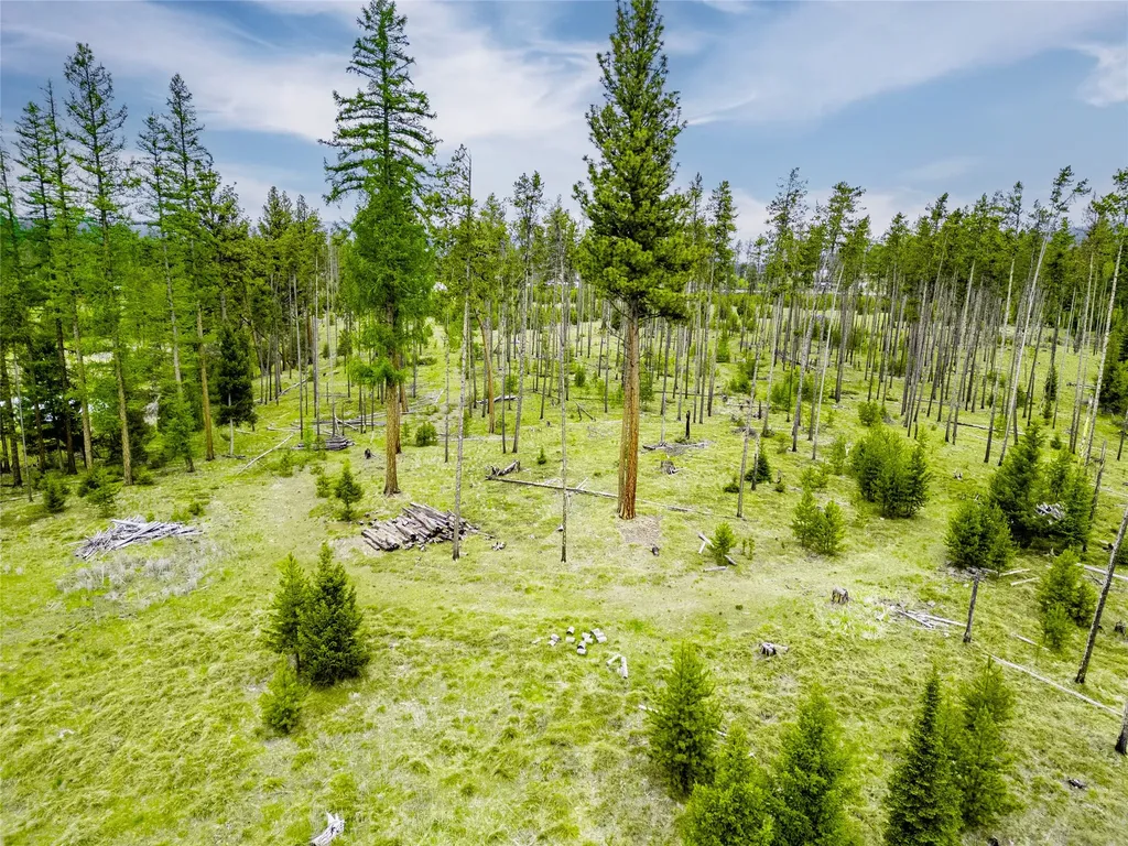 281 Daisy Lane Seeley Lake MT 59868
