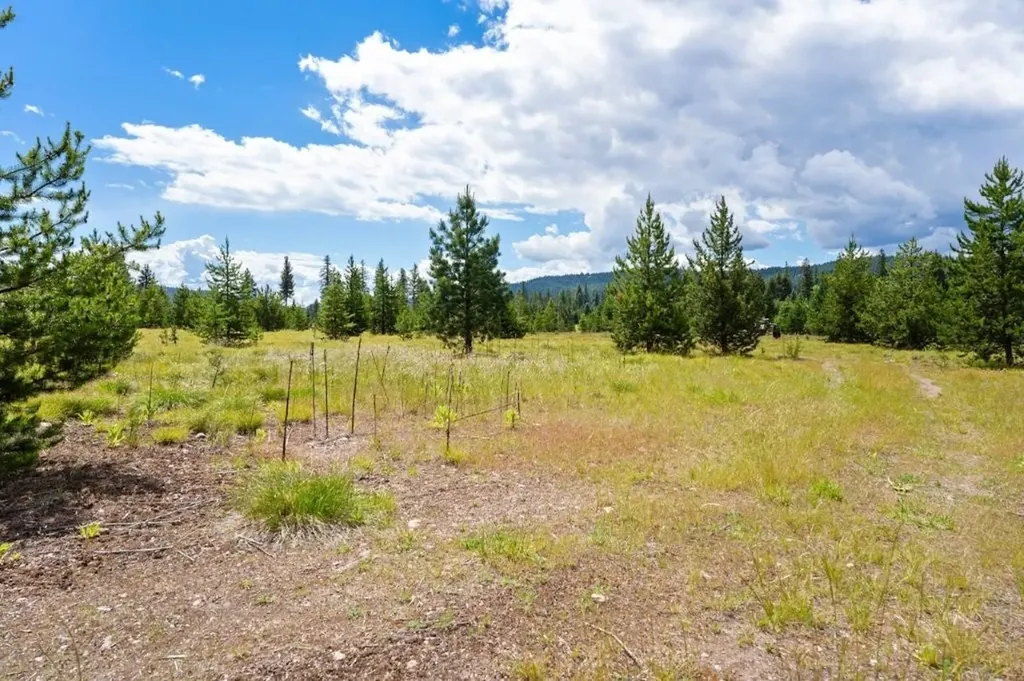 281 Daisy Lane Seeley Lake MT 59868
