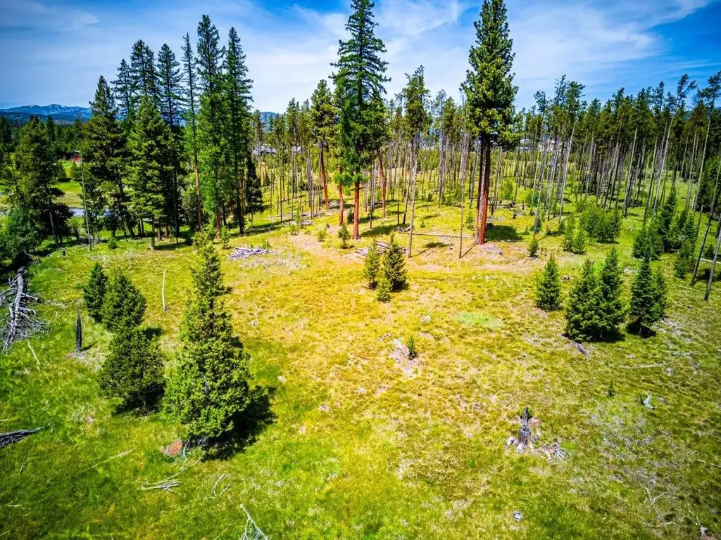 281 Daisy Lane Seeley Lake MT 59868