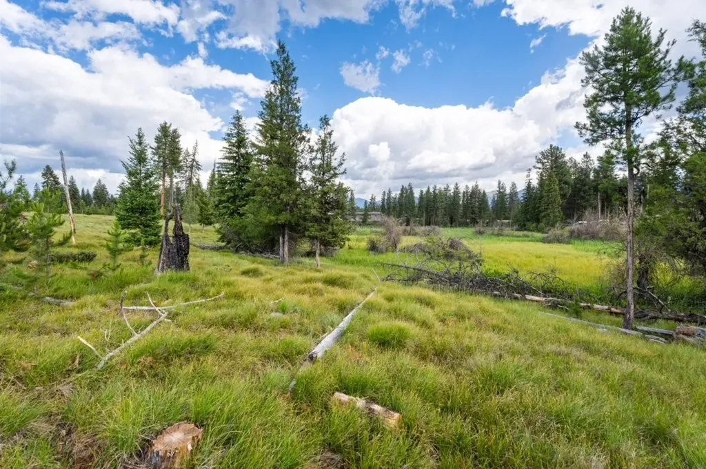 281 Daisy Lane Seeley Lake MT 59868