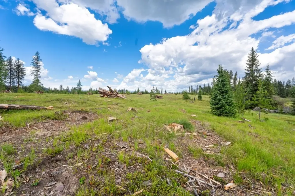 281 Daisy Lane Seeley Lake MT 59868