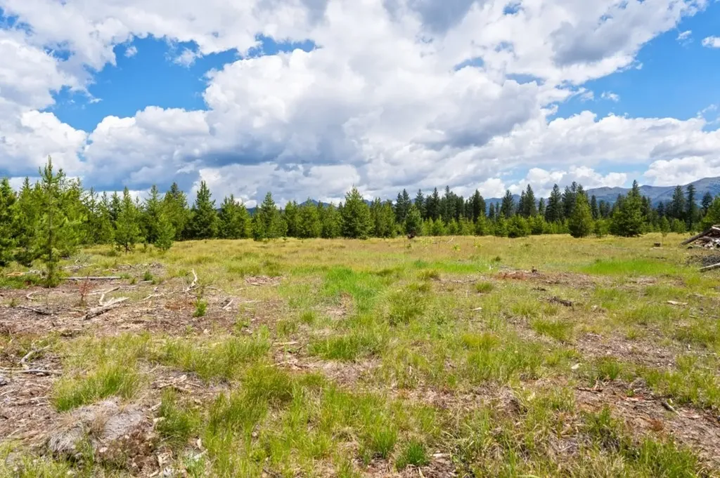 281 Daisy Lane Seeley Lake MT 59868