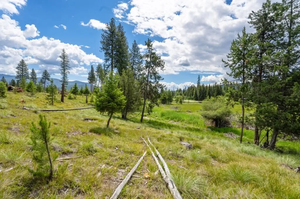 281 Daisy Lane Seeley Lake MT 59868