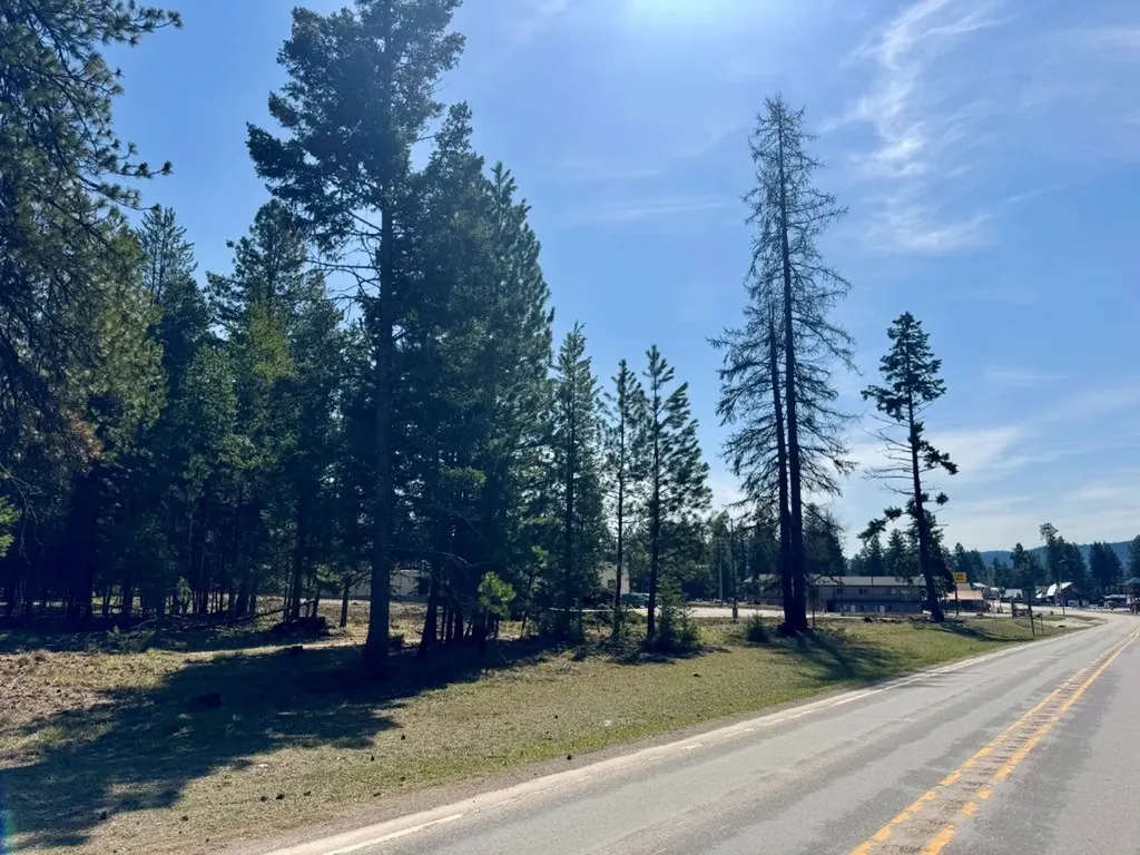 134 Nordic Way Seeley Lake MT 59868