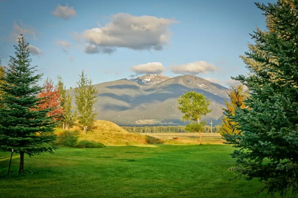 93 Sann Lane Stevensville MT 59870