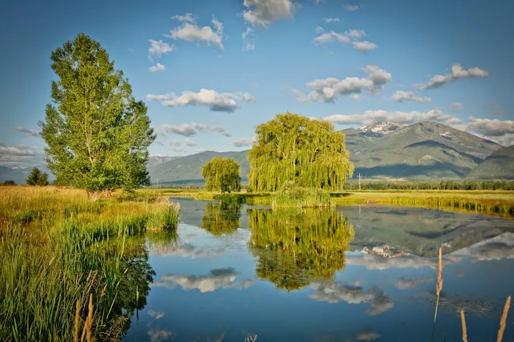 93 Sann Lane Stevensville MT 59870