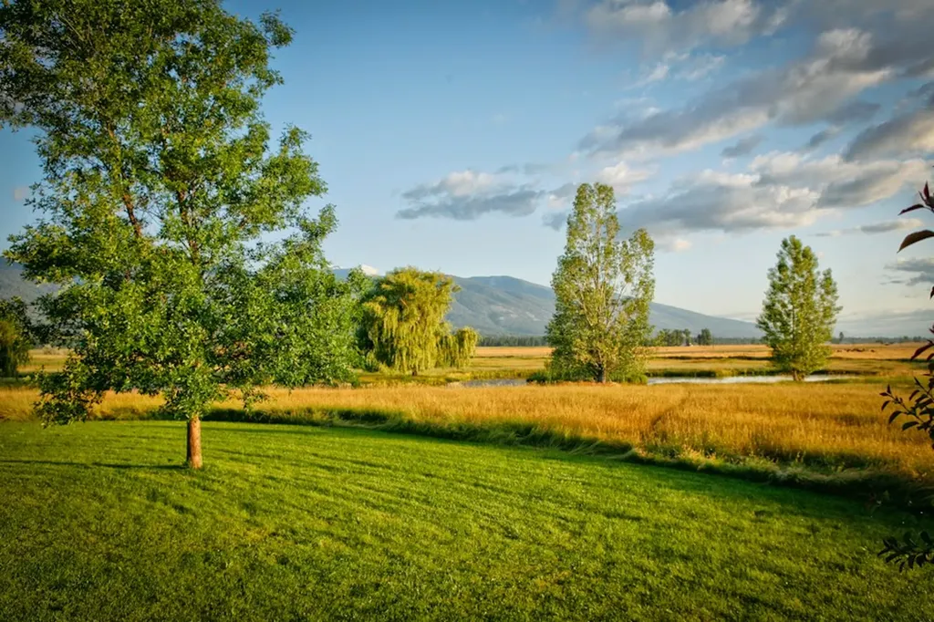 93 Sann Lane Stevensville MT 59870