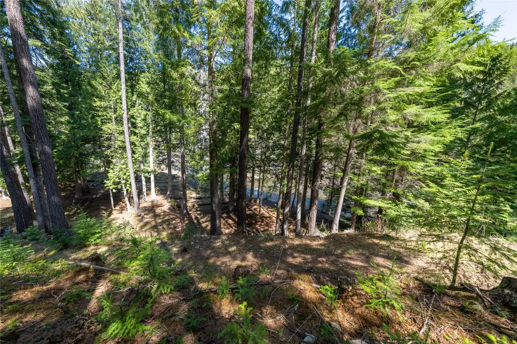140 Saddle Creek Road Troy MT 59935