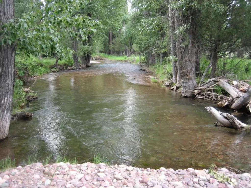 2980 Hwy 83 N Seeley Lake MT 59868