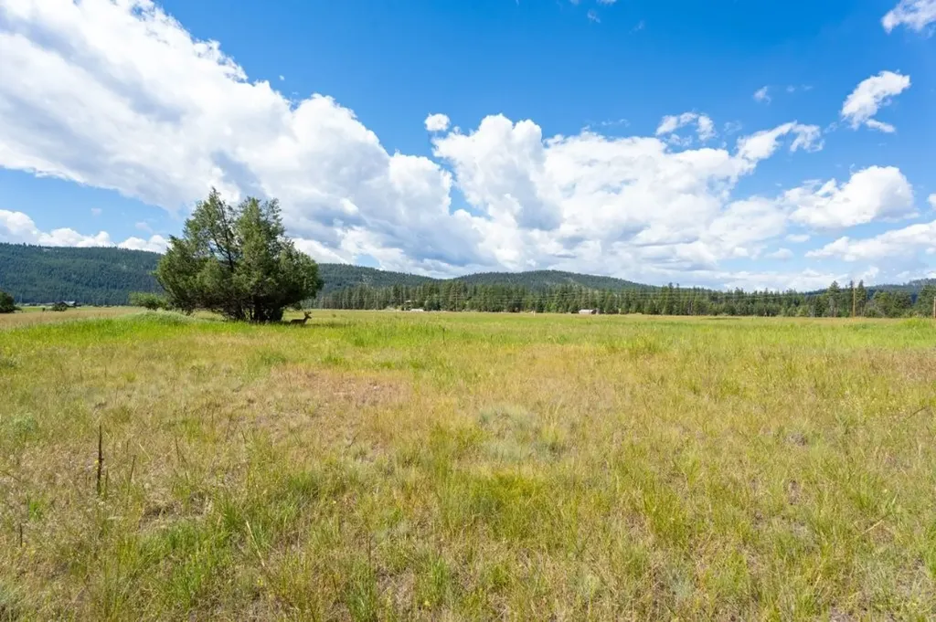 2980 Hwy 83 N Seeley Lake MT 59868