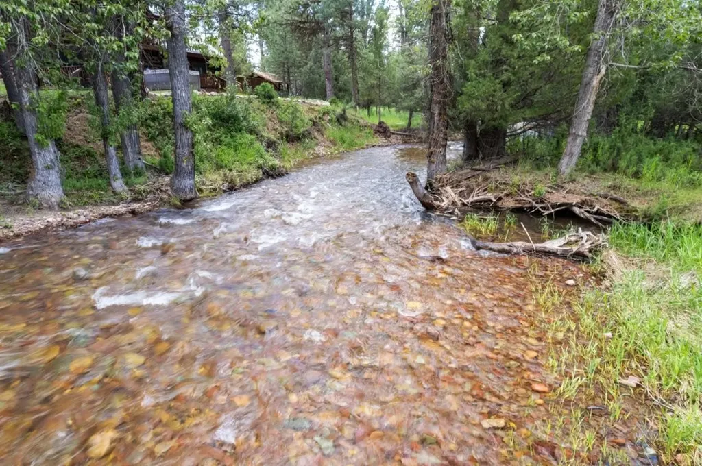 2980 Hwy 83 N Seeley Lake MT 59868