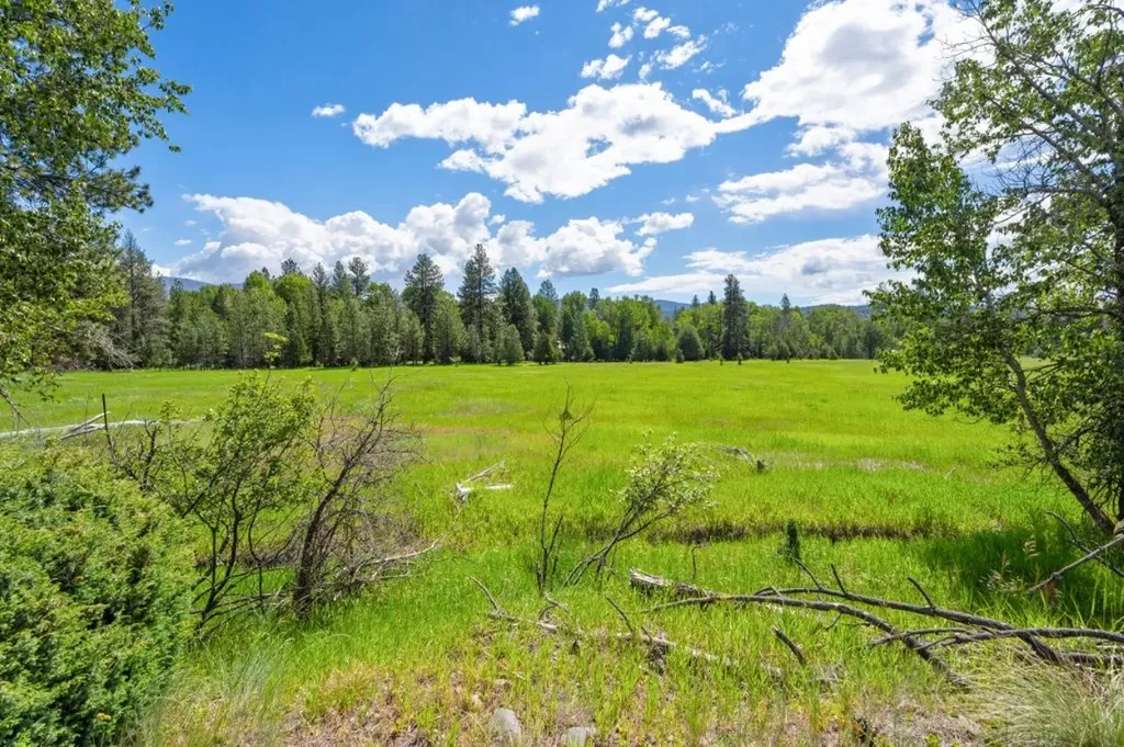 2980 Hwy 83 N Seeley Lake MT 59868
