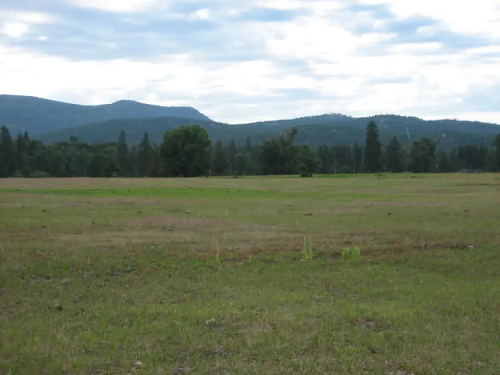 2980 Highway 83 N Seeley Lake MT 59868