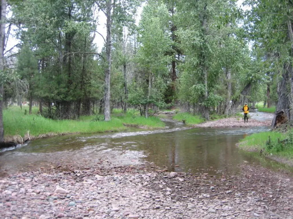 2980 Hwy 83 N Seeley Lake MT 59868