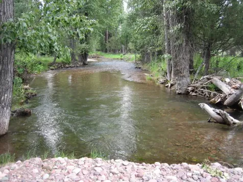 2980 Hwy 83 N Seeley Lake MT 59868