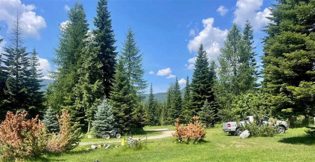5 Buck Hill Drive Noxon MT 59853