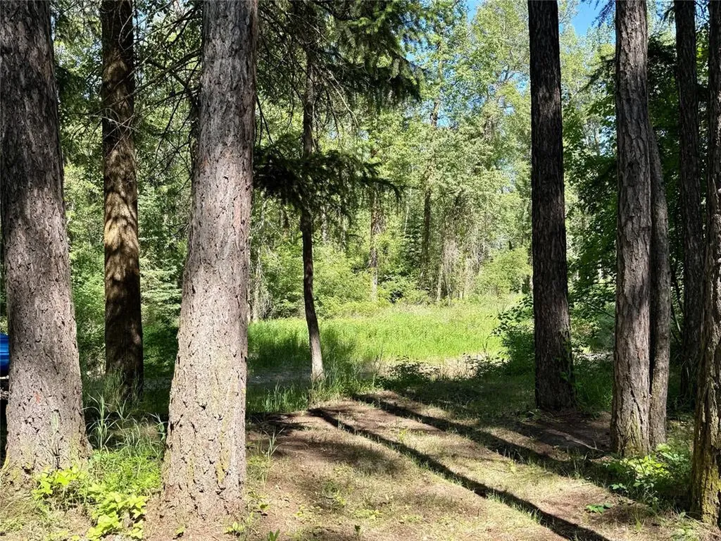 1139,1143 Jellison Road Columbia Falls MT 59912