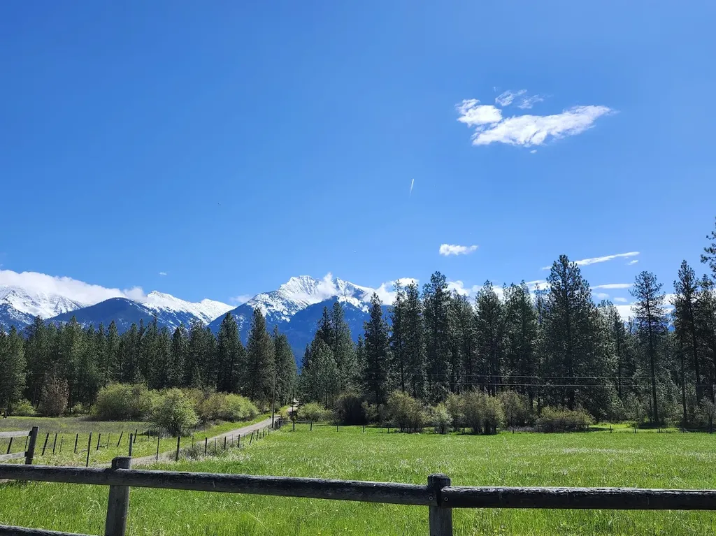 Lot 31 Two Creek Lane Charlo MT 59824