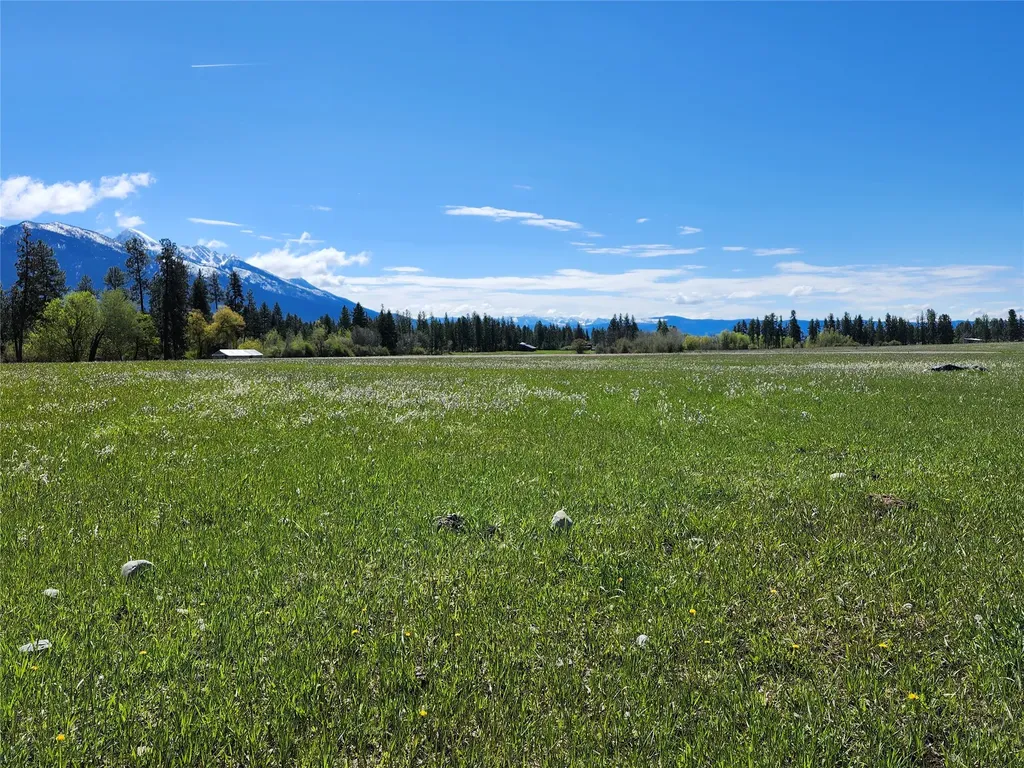 Lot 31 Two Creek Lane Charlo MT 59824