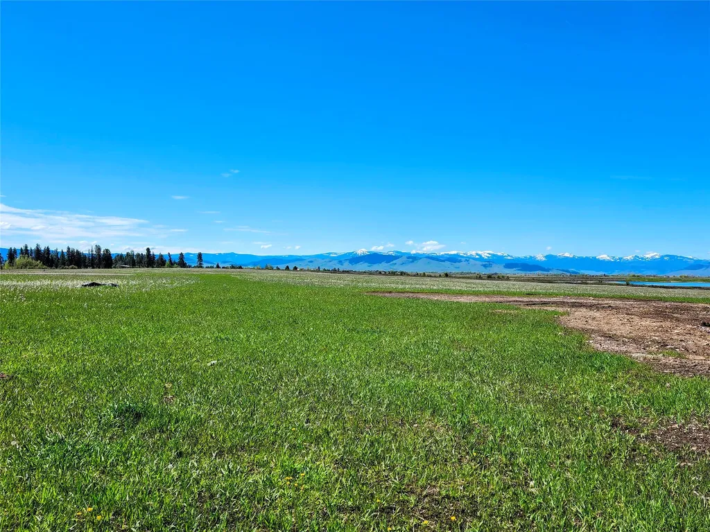 Lot 31 Two Creek Lane Charlo MT 59824