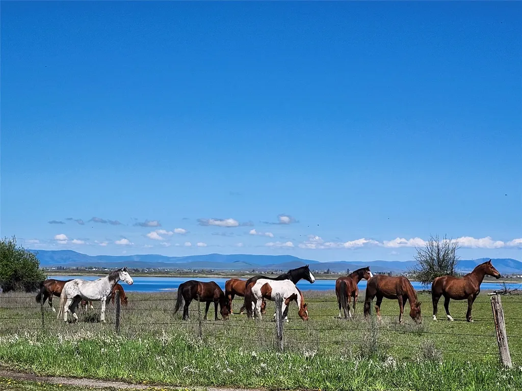 Lot 31 Two Creek Lane Charlo MT 59824