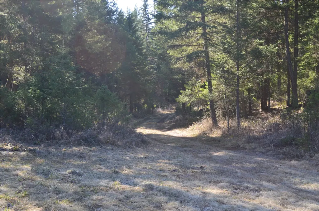 772 Rifle Range Road Whitefish MT 59937